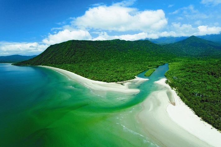 cruise ship tours cairns